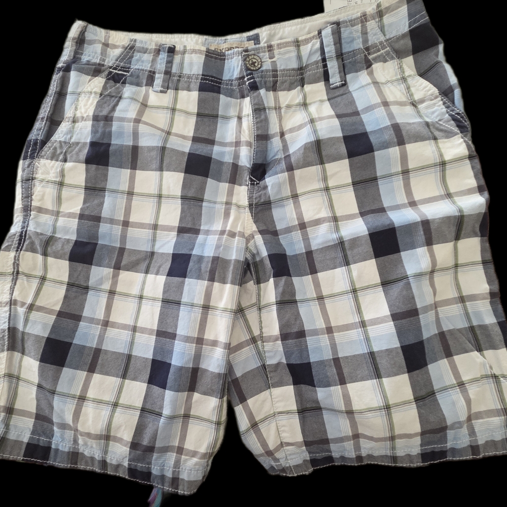 Express Men's Checkered Shorts - Black, Blue, and White, 30